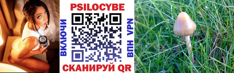 Купить закладки  Кинель  Галлюциногенные грибы Psilocybine cubensis 